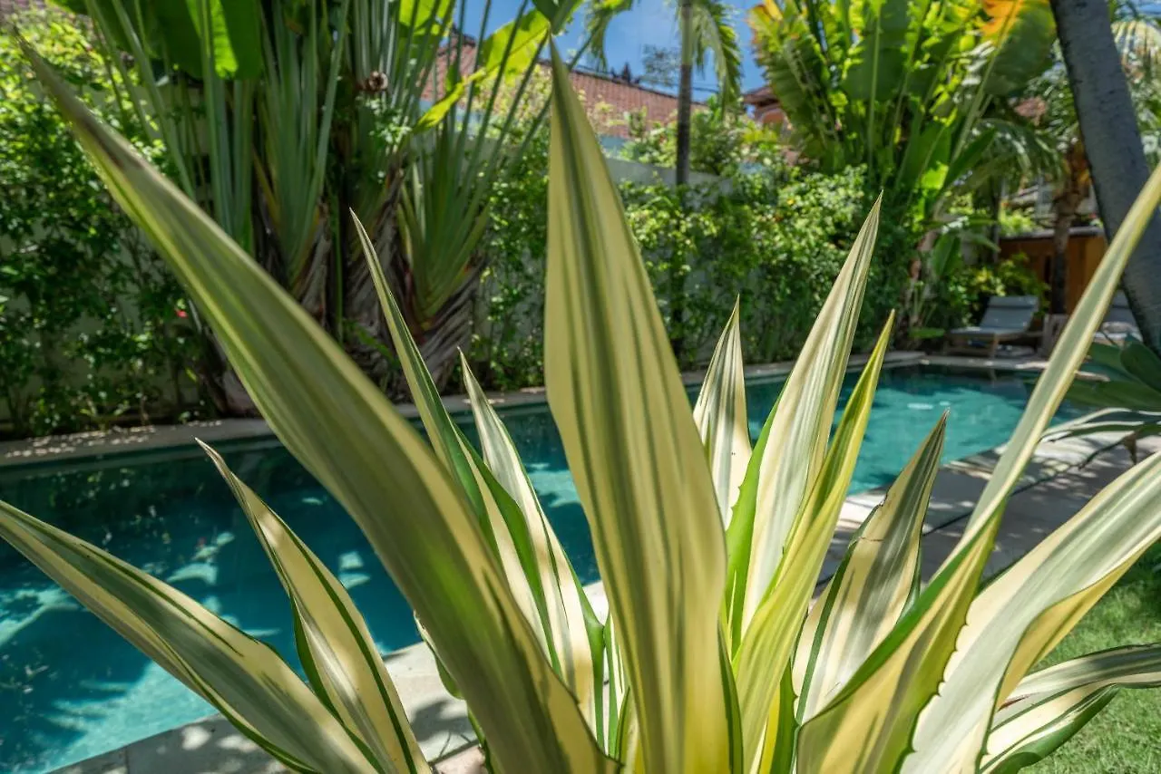 Villa Teman - Luxury 4Br Villa In Central Seminyak - Huge Pool 0*,